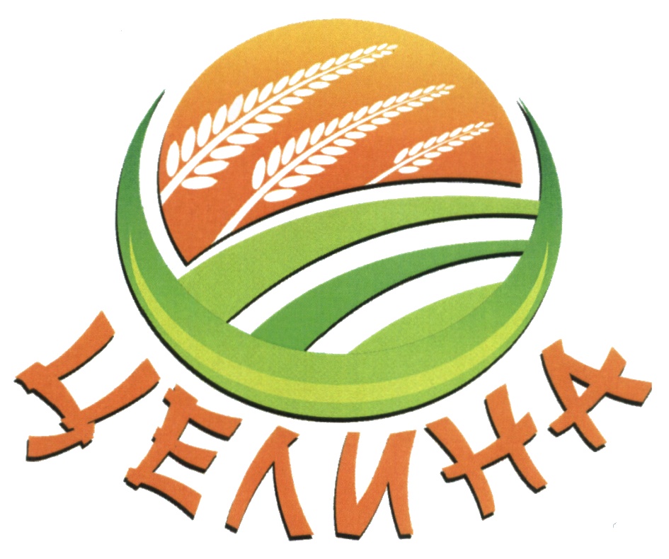изображение из решения