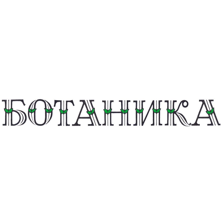 изображение из решения