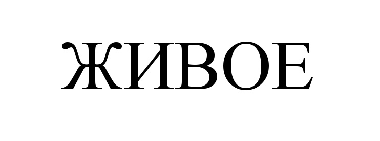 изображение из решения