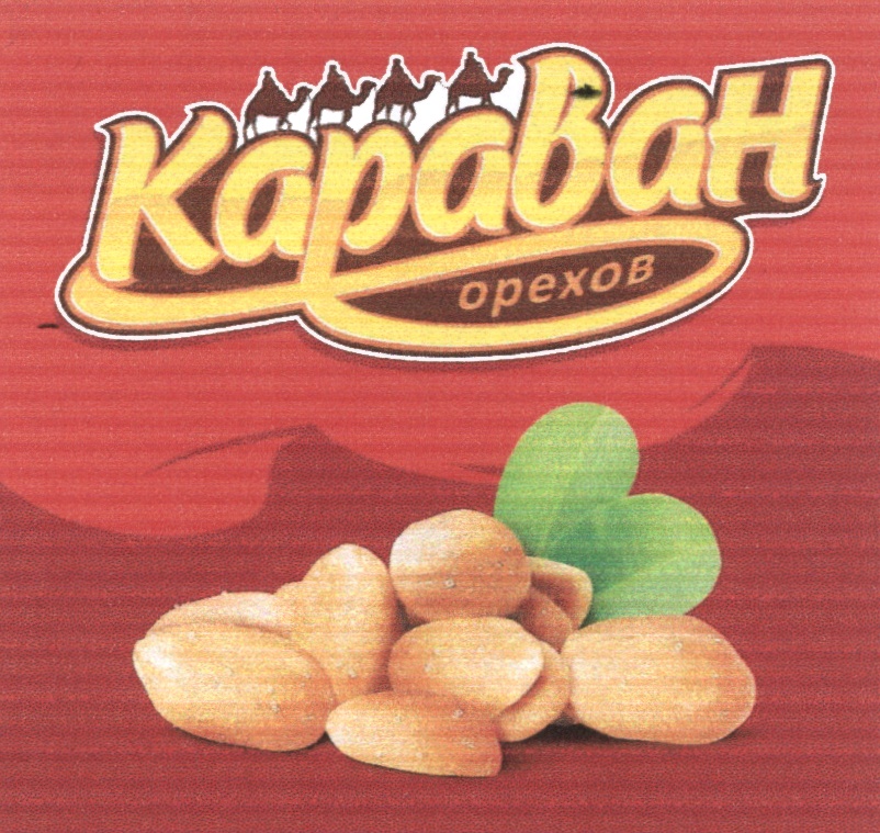 изображение из решения