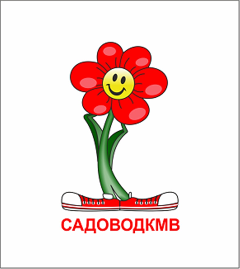 изображение из решения