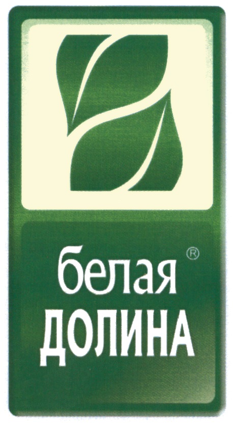 изображение из решения