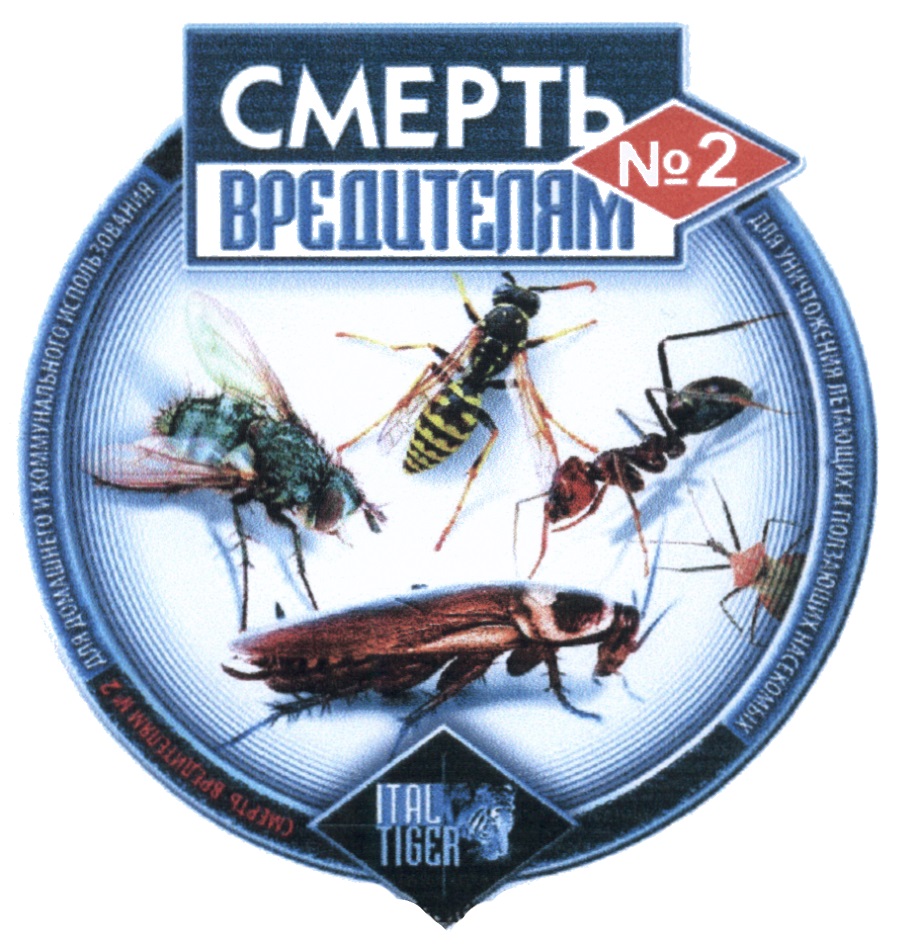 изображение из решения