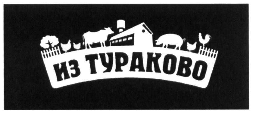 изображение из решения