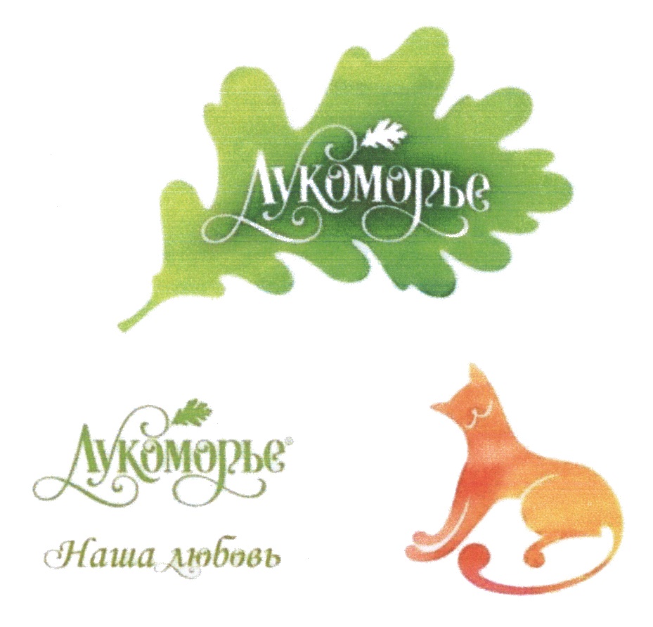 изображение из решения