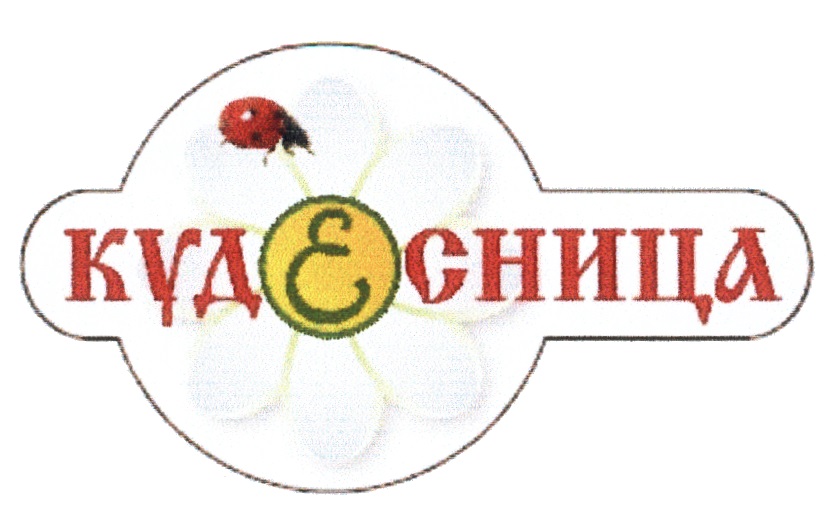 изображение из решения