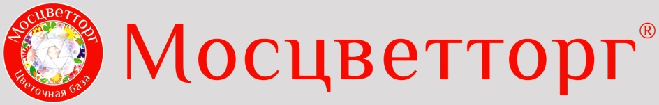 изображение из решения