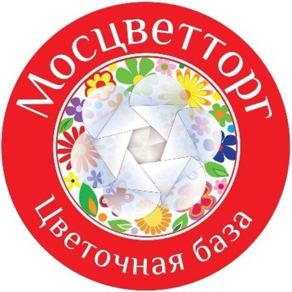 изображение из решения