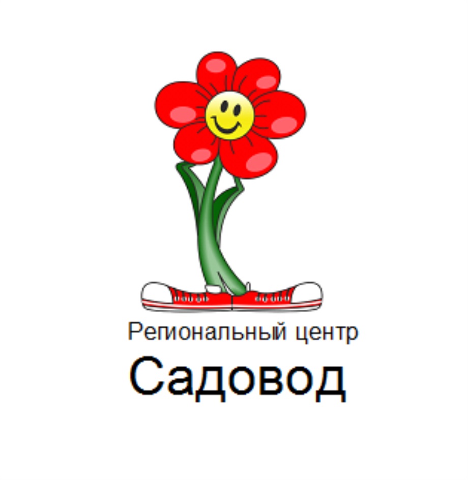 изображение из решения