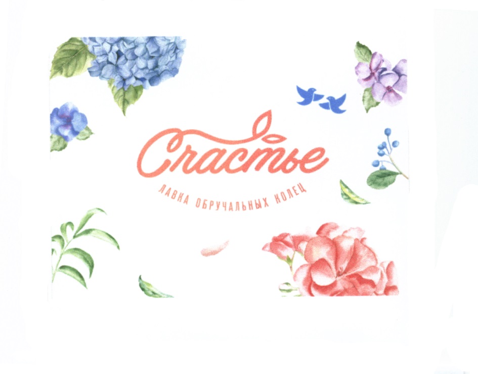 изображение из решения