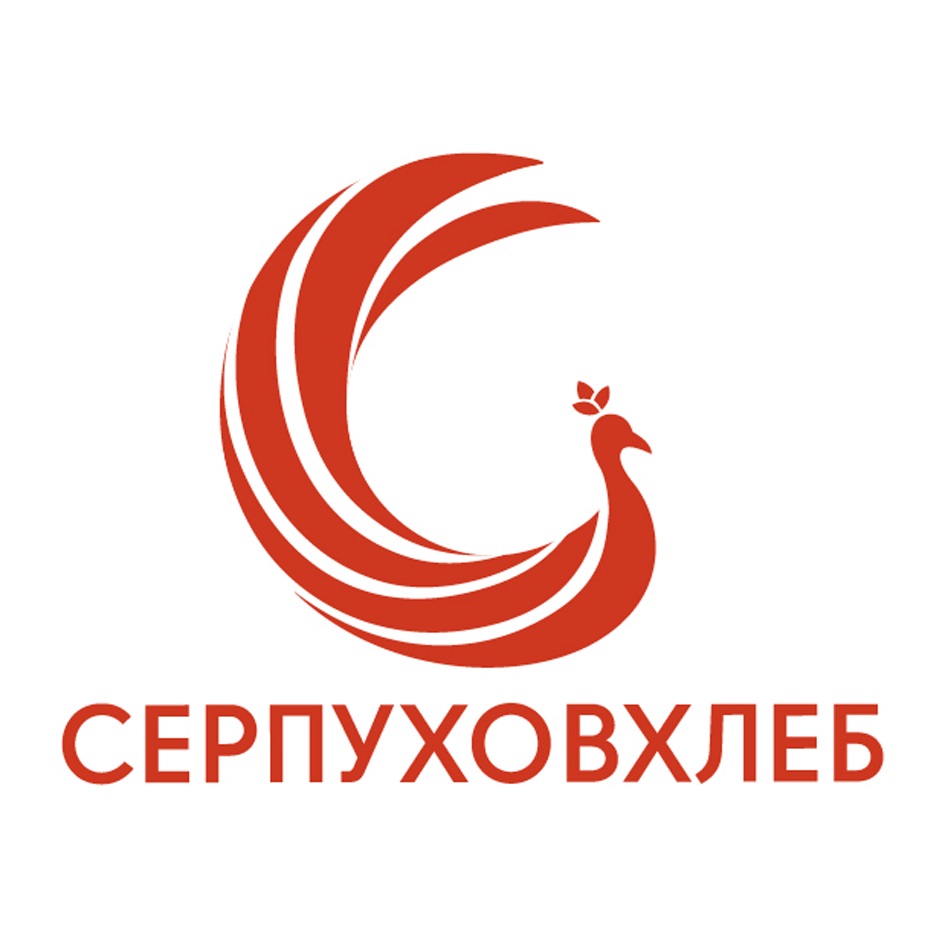 изображение из решения