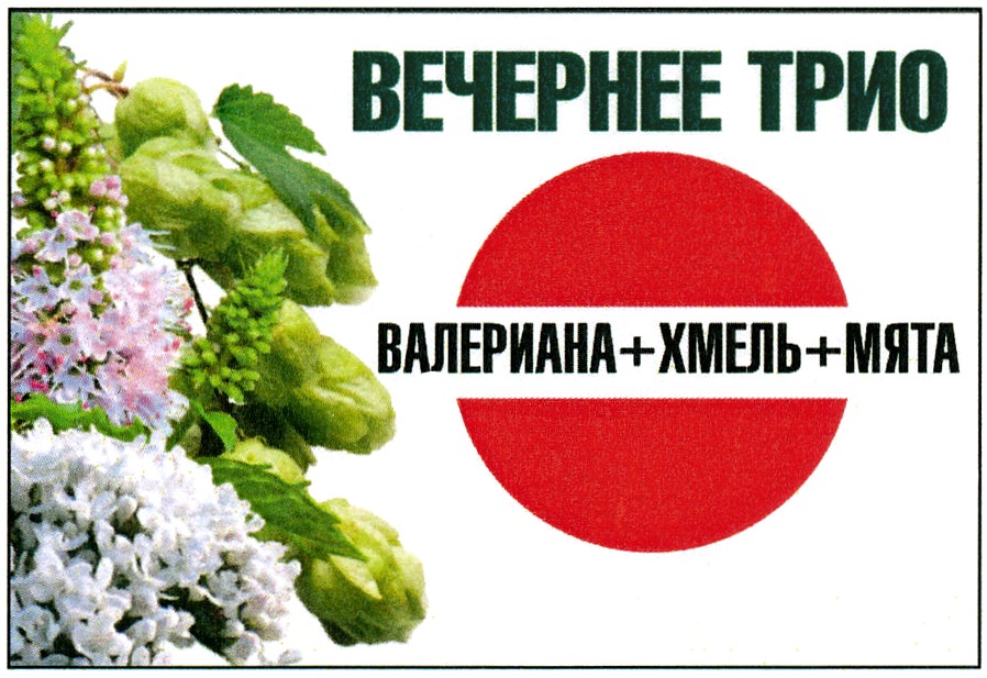 изображение из решения
