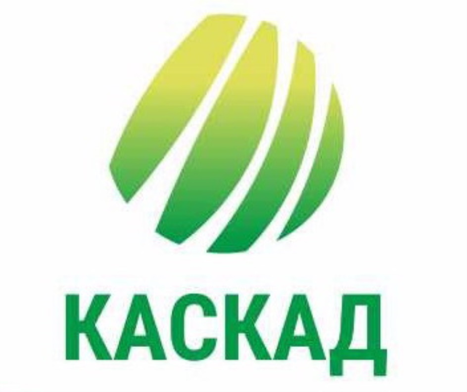 изображение из решения
