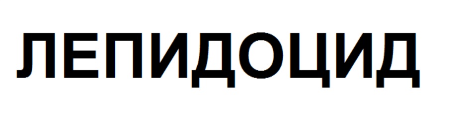 изображение из решения