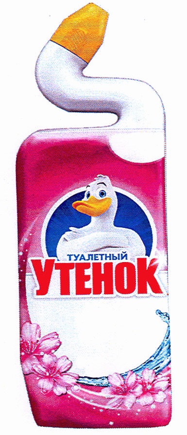 изображение из решения