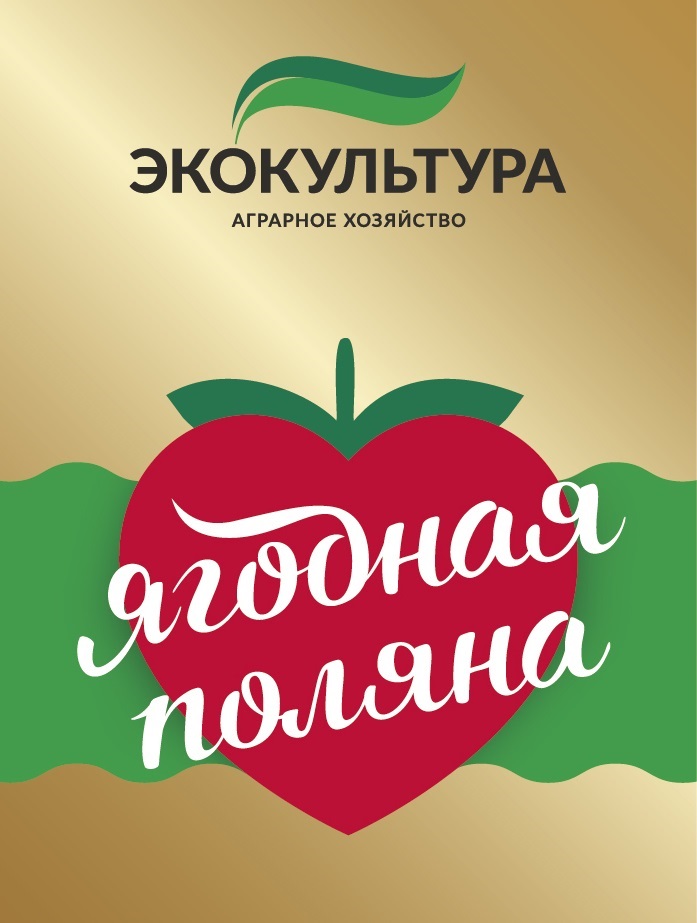 изображение из решения