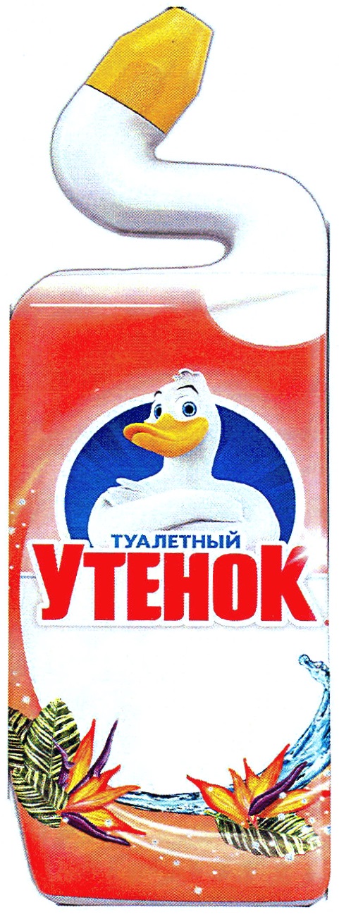 изображение из решения