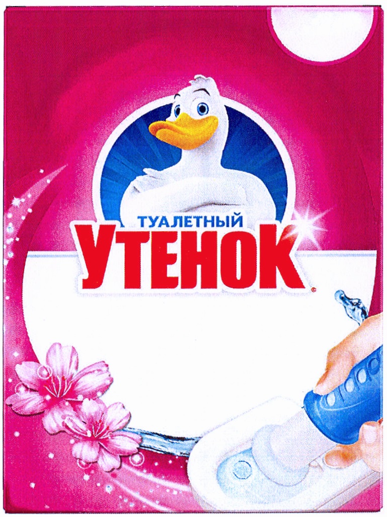 изображение из решения