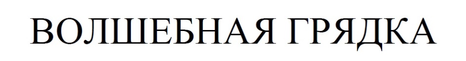 изображение из решения
