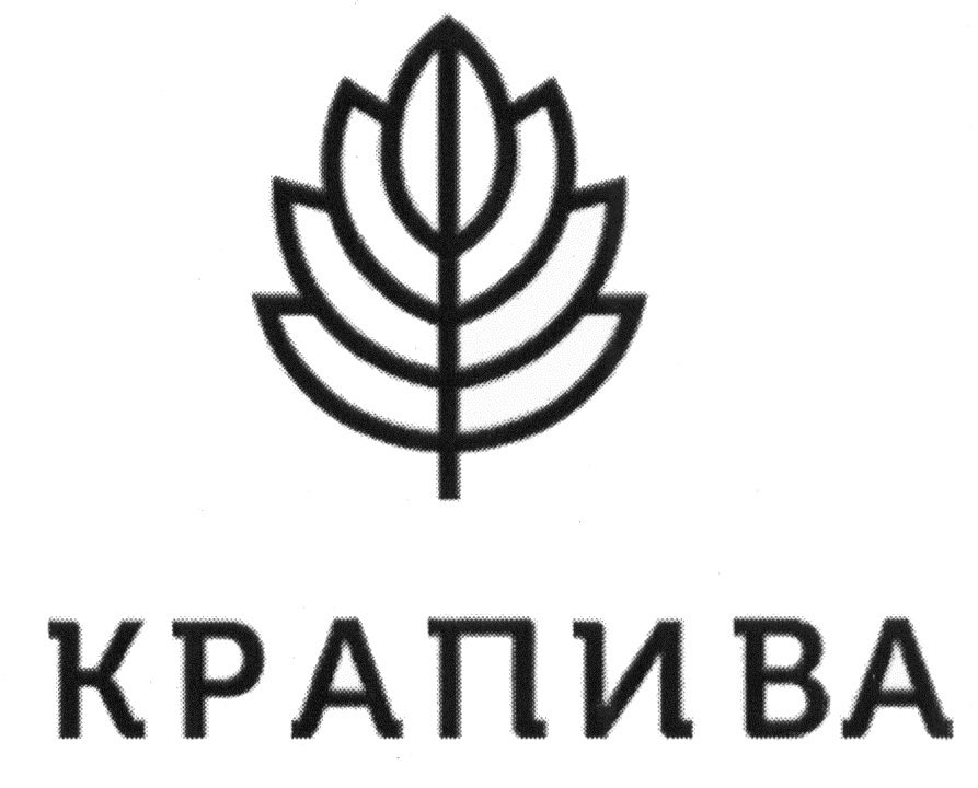 изображение из решения