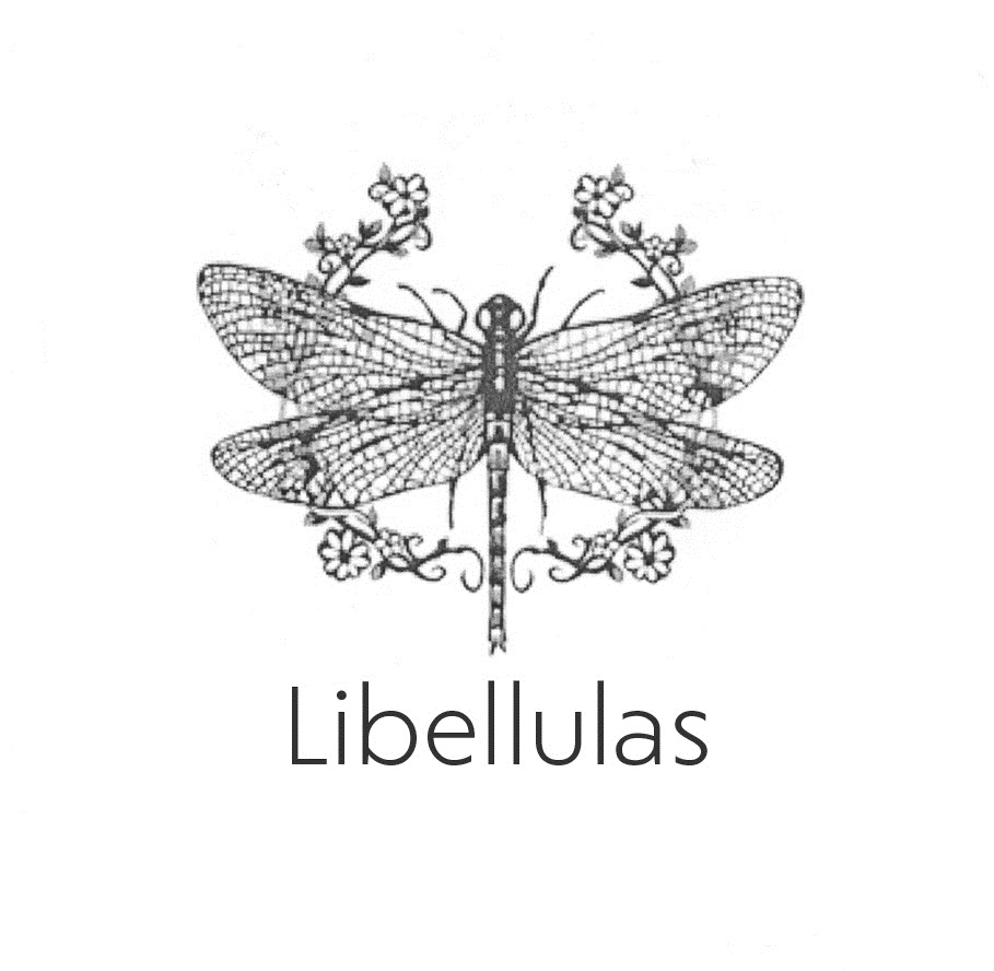 изображение из решения