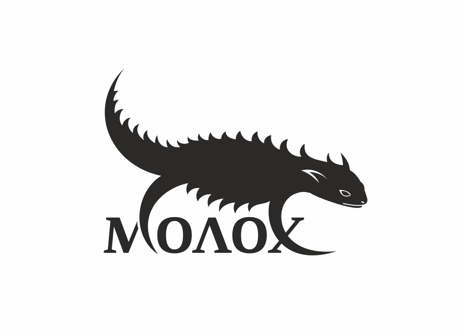 изображение из решения