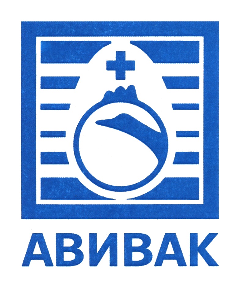 изображение из решения