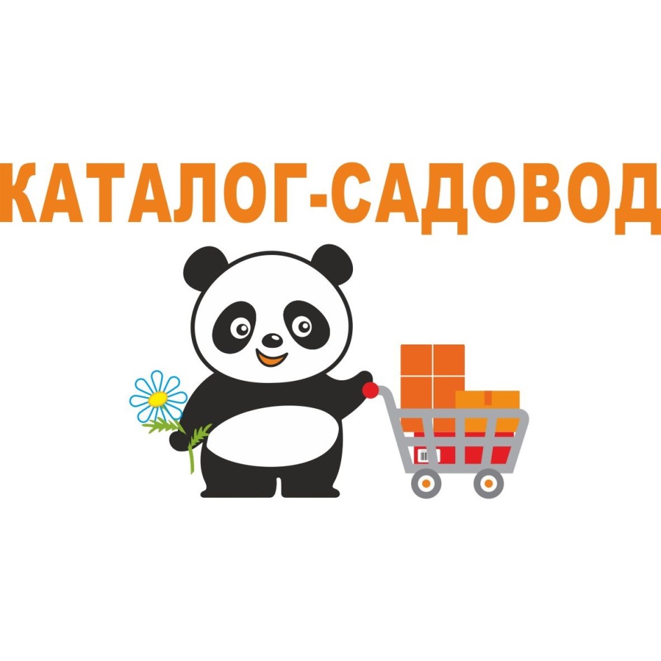 изображение из решения