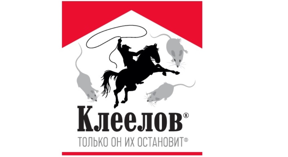 изображение из решения