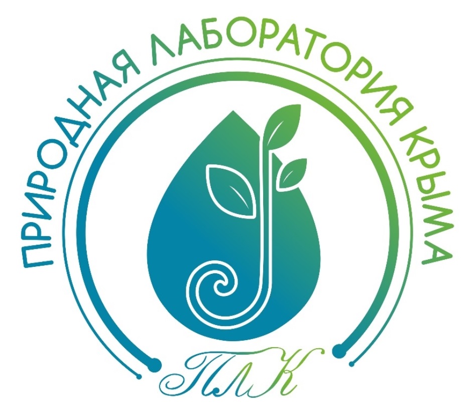 изображение из решения