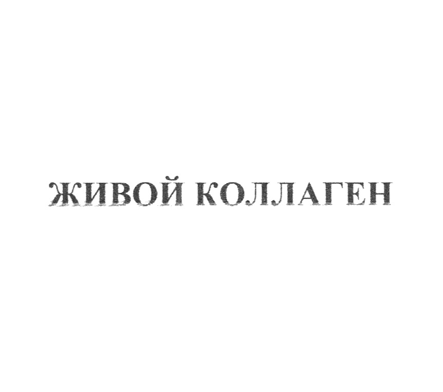 изображение из решения