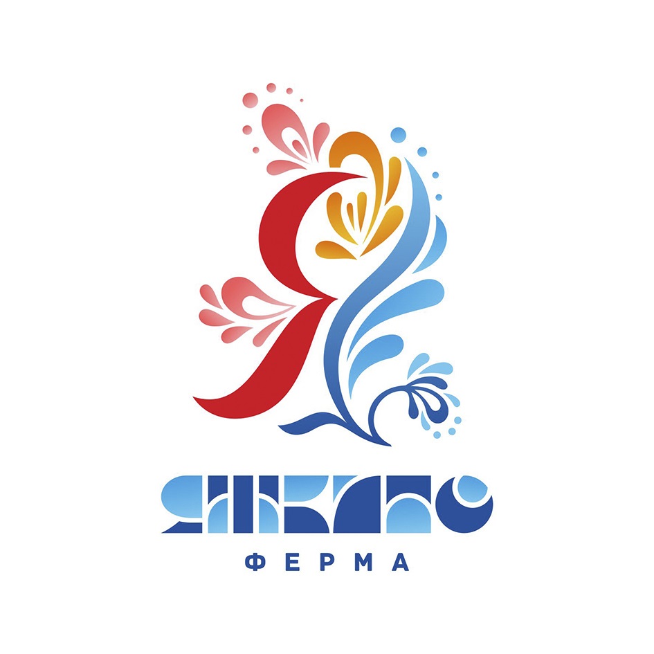 изображение из решения