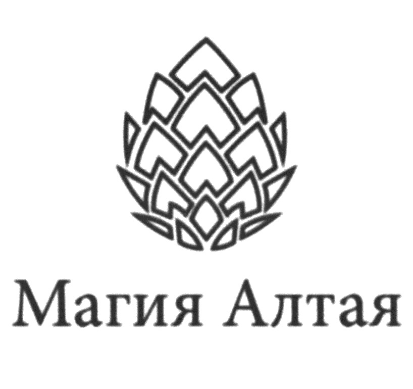 изображение из решения