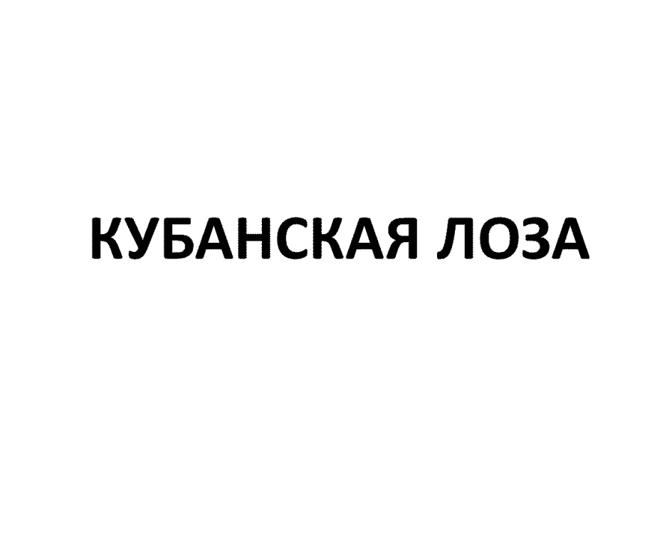 изображение из решения