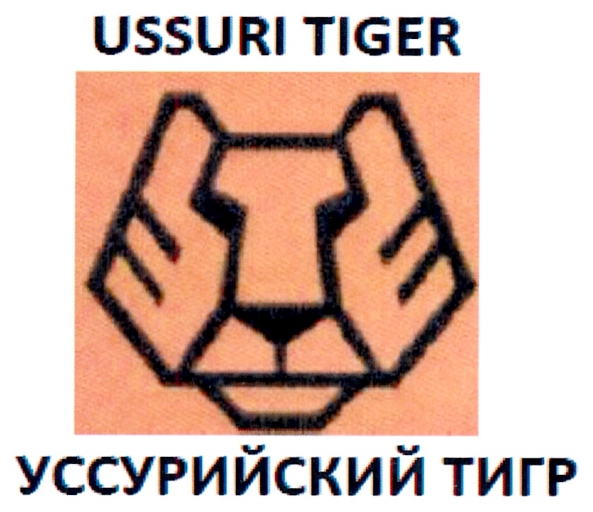 изображение из решения