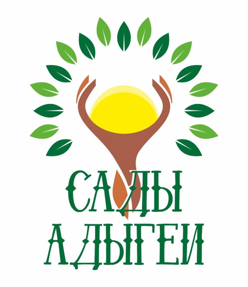 изображение из решения