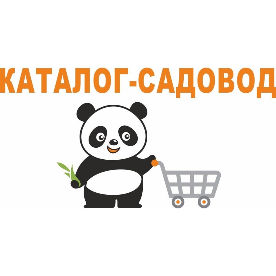 изображение из решения