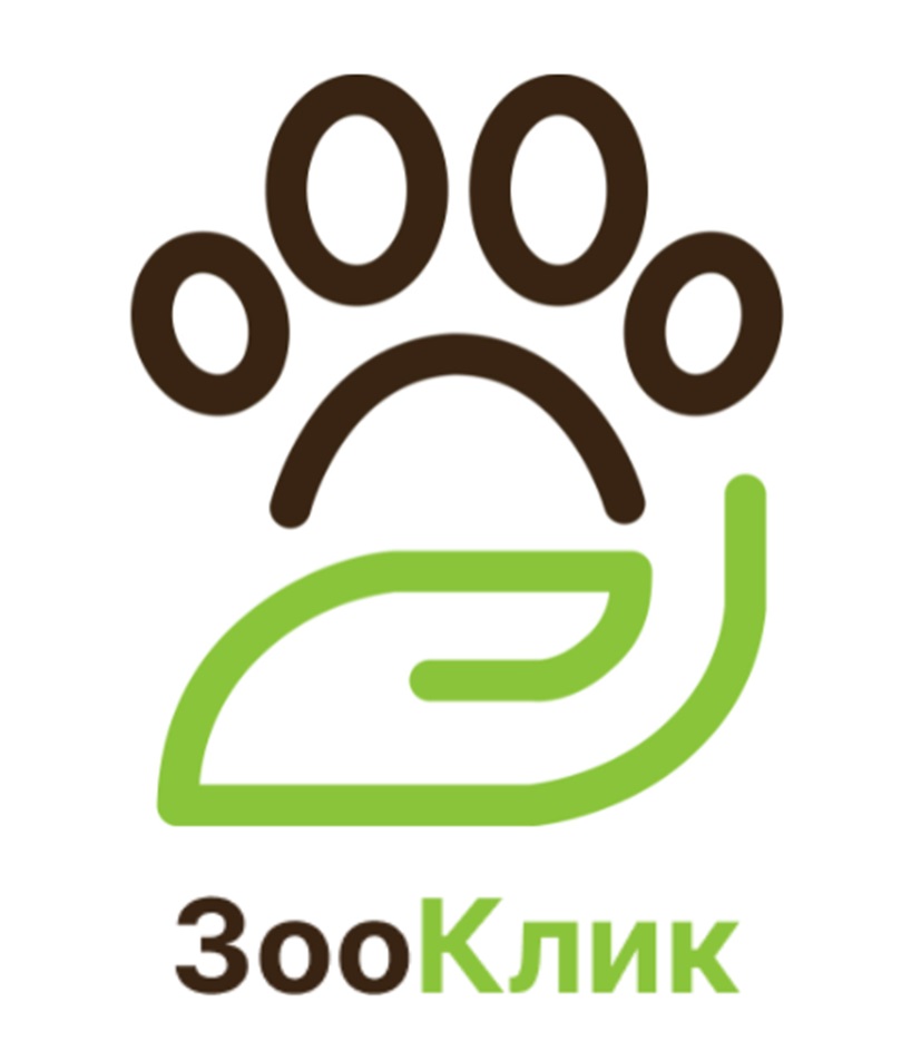 изображение из решения