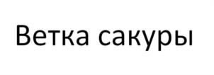 изображение из решения