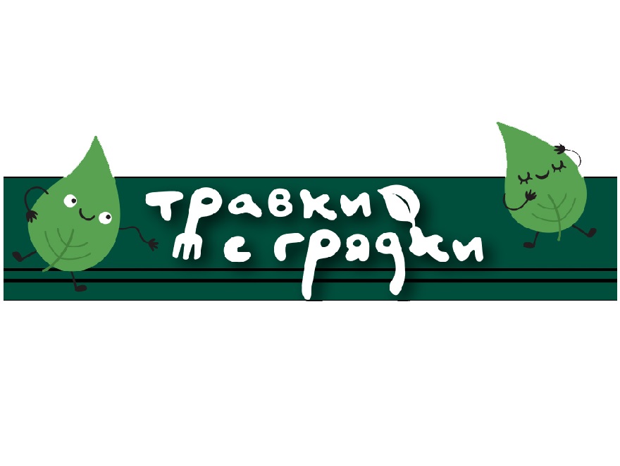 изображение из решения