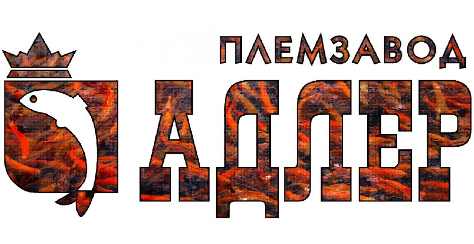 Товарный знак № 963014