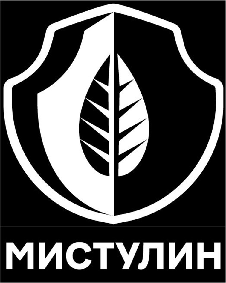 изображение из решения