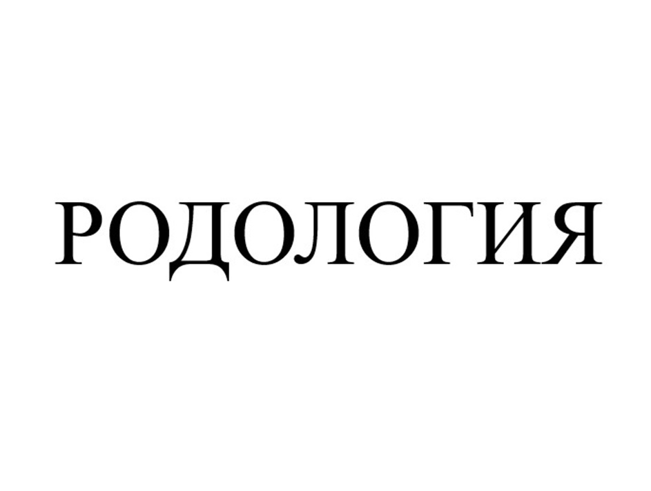 изображение из решения