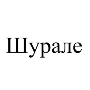 изображение из решения