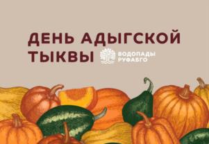изображение из решения