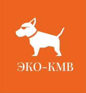 изображение из решения