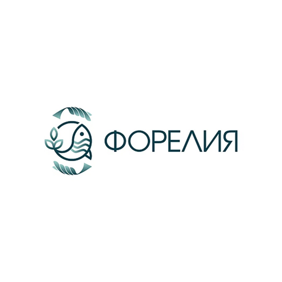 изображение из решения