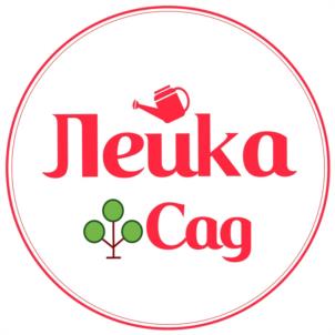 изображение из решения