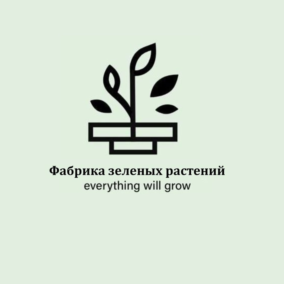 изображение из решения