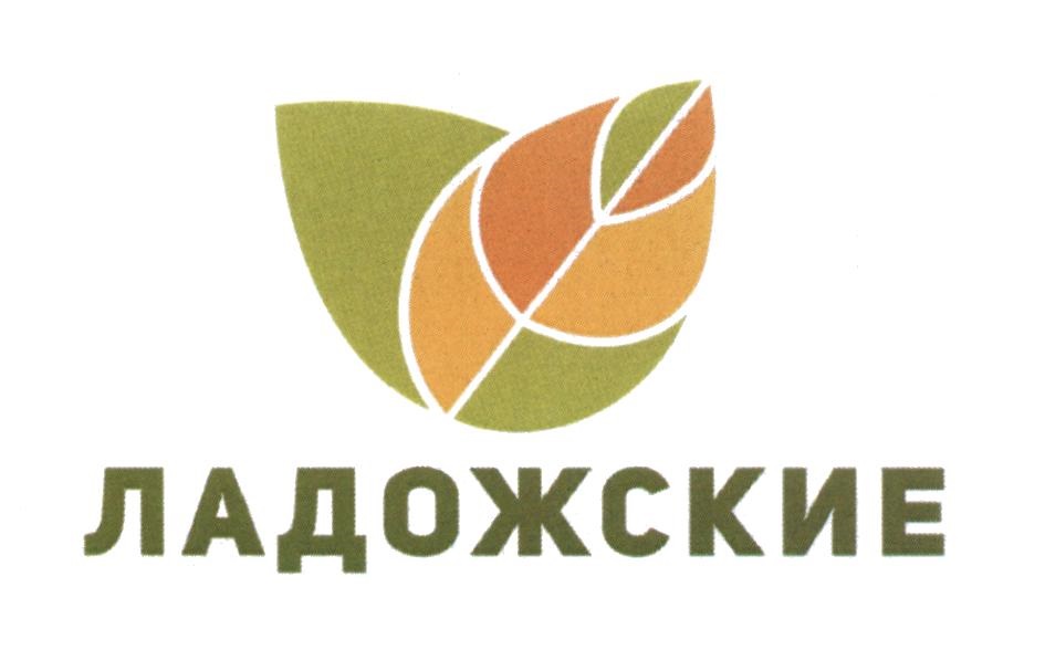 изображение из решения